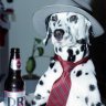 Dog With A Beer